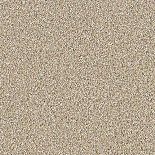 Dreamweaver - Boca - Sawgrass | Osborn's Georgie Carpet - In-Stock Carpet Items | 385 W Honey Creek Drive, Terre Haute, Indiana 47802 | (812) 289-7027